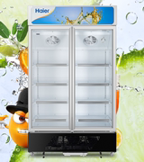 giá tủ đông Haier Haier SC-650HL dọc cửa đôi tủ lạnh trưng bày tủ đông tủ lạnh tươi tủ đông đồ uống thương mại tủ đựng kem