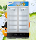 giá tủ đông Haier Haier SC-650HL dọc cửa đôi tủ lạnh trưng bày tủ đông tủ lạnh tươi tủ đông đồ uống thương mại tủ đựng kem Tủ đông