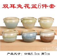 Вазон для цветов «Двуухий кролик», набор из 6 предметов.