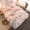 Phong cách Hàn Quốc đơn giản bông dày chà nhám bốn bộ mùa thu và mùa đông công chúa màu hồng gió 1,8m - Bộ đồ giường bốn mảnh bộ ra nệm