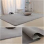 Bàn cà phê thảm dày san hô fleece phòng khách phòng ngủ đầy đủ tatami hộ gia đình hiện đại bột có thể được thiết lập cạnh giường ngủ mat thảm 3d phòng khách