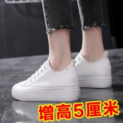 Giày mùa thu 2018 mới thoáng khí màu trắng nữ phiên bản Hàn Quốc của giày nữ tăng hoang dã