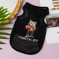 Боксерский кот