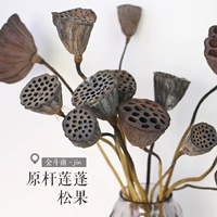Лотос сушеные цветы songguo yunnan сухое цветочное пакет с цветами с фруктовыми стрельбами для украшения сухих цветов Золотые Dounan