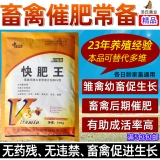 Птица куриная утка, утка и гуси, оплодотворяющие веса, удобрения, рост зверей, зверей, жирные добавки сокровищ, цыплят способствуют быстрому толстую королю