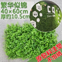 Процветание 40x60, как парня