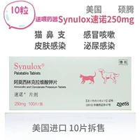 Судуо 20 мг средней среды Большой собачья кошка ПЭТ анти -инфляционные препараты, чихание, кашель, инфекция мочи, нос кошки, 10 капсул