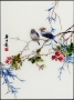 Tô Châu thêu DIY kit mới bắt đầu khâu chim Yan Bolong vẽ 33 * 45 bức tranh trang trí thêu tay - Bộ dụng cụ thêu tranh thêu gia đình