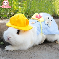 Кролик, одежда, шапка, юбка, домашний питомец