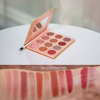 Phát hiện [Đĩa Tiên] Thụy Điển Oden "> <kiểu nhập = bảng mắt morphe jaclyn hill