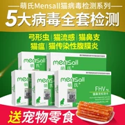 Mèo cưng mèo của mèo phát hiện virus cúm mèo thẻ vương miện - Cat / Dog Medical Supplies