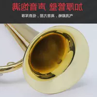 JBBC-1600 Thanh niên số Trumpet Music Charge Thiếu niên tiên phong số - Nhạc cụ phương Tây đàn guitar