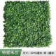 hoa lan hồ điệp giả Tường cây xanh mô phỏng tường cây ban công nhựa giả cỏ treo tường trang trí nền trong nhà sân cỏ bạch đàn hoa mẫu đơn giả