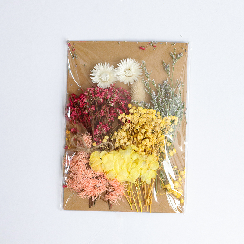 Late Spring Huashen / Embossed Bagbeautiful Mu son Mixed pack diy Hand made decorate Immortal flower Dried flower Set meal Material Science diy Photo frame Flower wood Embossed bag