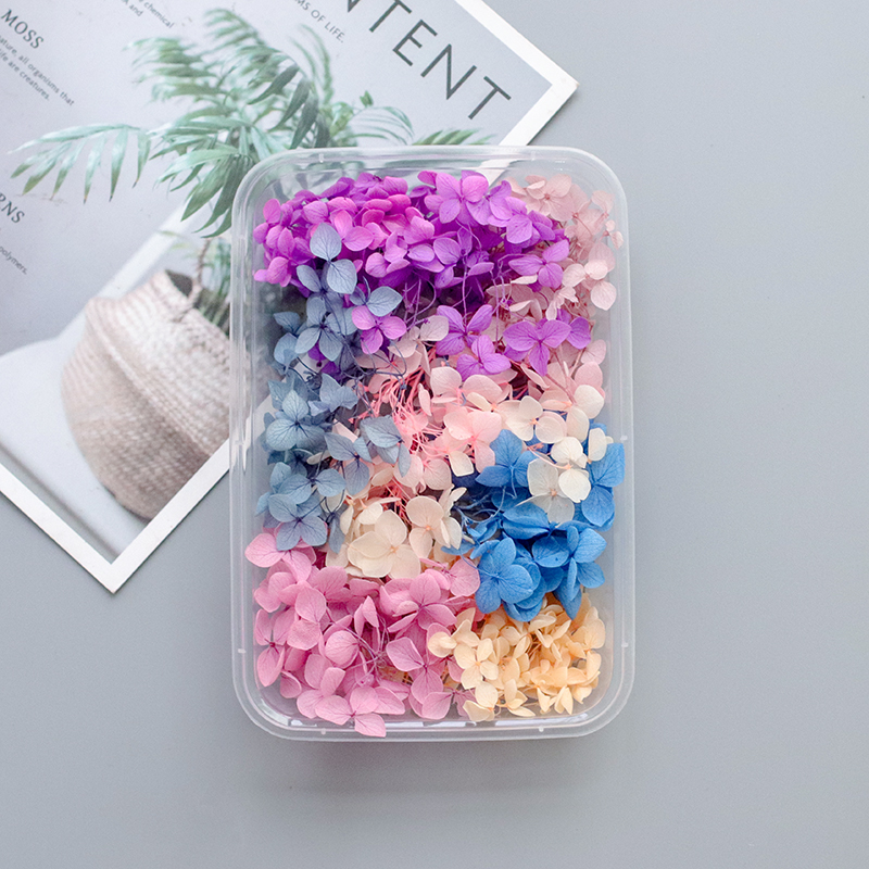 Hybrid Hydrangea / Bbeautiful Mu son Mixed pack diy Hand made decorate Immortal flower Dried flower Set meal Material Science diy Photo frame Flower wood Embossed bag