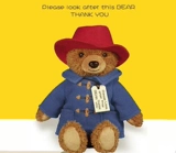 Кукла, плюшевая игрушка, толстовка, Великобритания