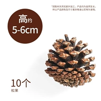 Сосновые конусы [10 установок] 5-6 см высотой