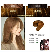 Золотисто -коричневый [без белых волос]