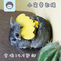Totoro Traction Rope Специальный веревку -офф голландский жилет голландского жилета Pet Pet веревка