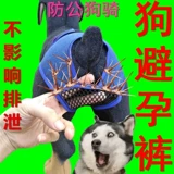 ПЭТ -противозачаточная сука Физиологическая лунная брюки, собачья одежда, домашнее животное, тетя кукол, беременные брюки, брюки, брюки, кукольные контрацептивы