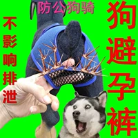 ПЭТ -противозачаточная сука Физиологическая лунная брюки, собачья одежда, домашнее животное, тетя кукол, беременные брюки, брюки, брюки, кукольные контрацептивы