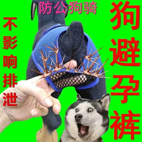 ПЭТ -противозачаточная сука Физиологическая лунная брюки, собачья одежда, домашнее животное, тетя кукол, беременные брюки, брюки, брюки, кукольные контрацептивы