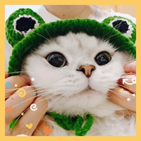 Код лягушки M (5-12 кот)