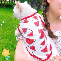 Прохладное лето [арбуз] Тонкая летняя модель