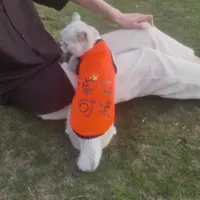 Сингл может быть [Summer Thin Model]