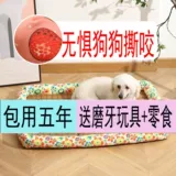 Летние собаки летние собаки летние собаки летние годы летняя собака в летнем гнездо