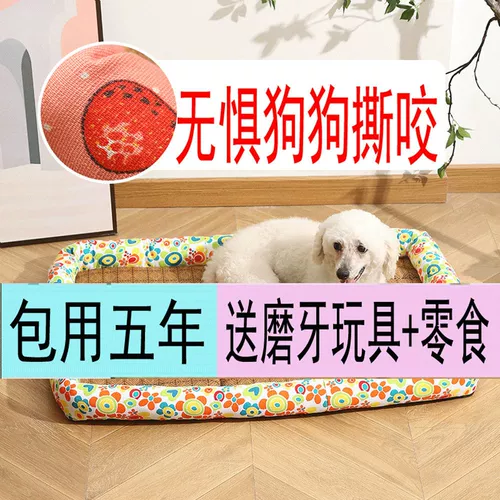 Летние собаки летние собаки летние собаки летние годы летняя собака в летнем гнездо