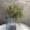 	hoa giả decor 5 nĩa xốp trái cây mô phỏng cỏ của người yêu cắm hoa cầm tay với chất liệu nghệ thuật hoa nghệ thuật hoa tại nhà hiện đại nghệ thuật hoa mô phỏng bình hoa giả lớn trang trí phòng khách cây trúc giả