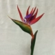 cây trúc giả PU tay cảm nhận Bird of Paradise mô phỏng Strelitzia reginae tay cảm nhận sàn hoa hoa trang trí phòng khách hoa lụa đào đông giả cây hoa đào giả