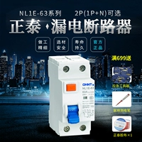 Zhengtai Loom Electric Router nl1e-63 2p (1p+n) 25a 40a 63a предоставление страхования Официальное лицо подлинное