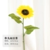Mô phỏng hoa hướng dương giả ảnh chụp ảnh đạo cụ hoa mặt trời phòng khách sàn phòng ngủ hiển thị hoa trang trí hoa đơn - Hoa nhân tạo / Cây / Trái cây Hoa nhân tạo / Cây / Trái cây