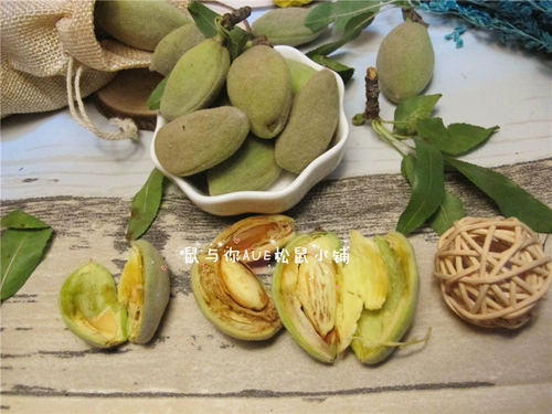 [Крыса и вы] обнаружите новые товары зеленый пибанбанбанм из свежего ореха черный хвост попугай интерактивная белка