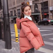 Phiên bản Hàn Quốc của cháu gái nhỏ cotton 2018 mùa đông áo mới chống mùa xuống bông pad ngắn lông mềm dịch vụ bánh mì