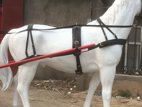 Девять -летняя карета в магазине с седлом лошадь с кожаной лошадью и седлами седла