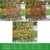 Mô phỏng sân trang trí sân vườn ban công cây xanh hàng rào hàng rào gỗ căng căng hàng rào tre hoa giá lan can lan can cây lựu giả Hoa nhân tạo / Cây / Trái cây