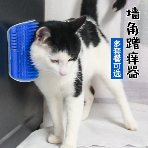 Кошка угол угла кошки, кошка, зуд, массажная кисть, хватает кошку, царапает зуд игрушечных питомцев