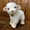 Dễ thương thú cưng siêu mềm mô phỏng cừu cừu dê cừu búp bê đồ chơi sang trọng trẻ em cô gái món quà sinh nhật - Đồ chơi mềm