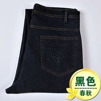 Quần jean nam mùa xuân và mùa hè mỏng quần nam trung niên nam cao eo ngồi xổm quần thun thẳng quần denim nam quần bò nam