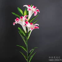 Три цвета и два почек красные