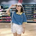 Mùa hè mới Hàn Quốc phiên bản của nhỏ tươi và đáng yêu thêu màu sắc tương phản ve áo ngắn tay T-Shirt nữ sinh viên Polo áo sơ mi triều áo phông nữ rộng Áo phông