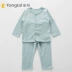 Bộ đồ lót mùa xuân và mùa hè Tong Tai 2020 bộ đồ lót nam và nữ 1-3 tuổi kho báu bộ đồ lót cotton mùa thu 3237 - Quần áo lót Quần áo lót