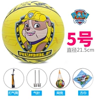 № 5 Wangwang Team Yellow Little Gravel