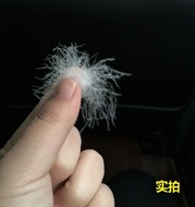 Khác lớn vịt xuống vịt trắng xuống điền nhỏ cần cẩu treo 30 năm tập trung vào nguyên liệu GB 90 số lượng lớn