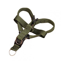 Армейский зеленый сундук и спина