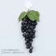 60 длинных виноградных шампуров (черный) отправьте четыре шампура