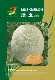Zhenyu Melon 100 зерно оригинальных семян